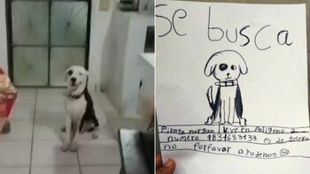 La dueña de "Pirata Morgan",