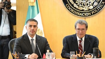 ONG advierten riesgos en nueva