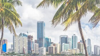 Aunque el mercado de la