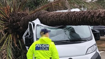 Inundaciones, coches aplastados y vuelos