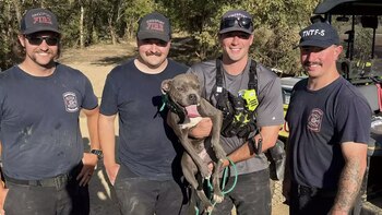 Los bomberos de Kingsport y