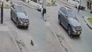 Empresa dueña del vehículo que