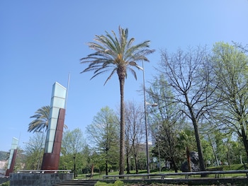 Imagen QYL6BI6M3RFO5N7KXCPKAMQX3E