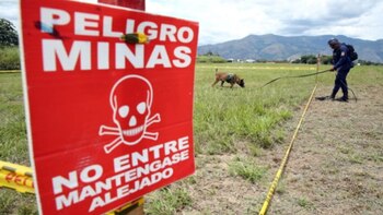 Minas Tamaulipas (Ilustrativa)