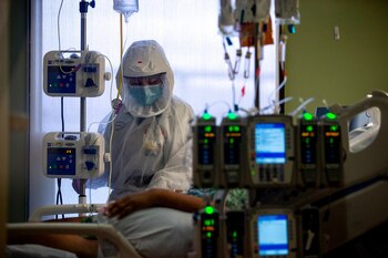 En 46 estados de los