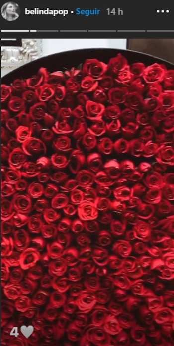 Las rosas que recibió Belinda