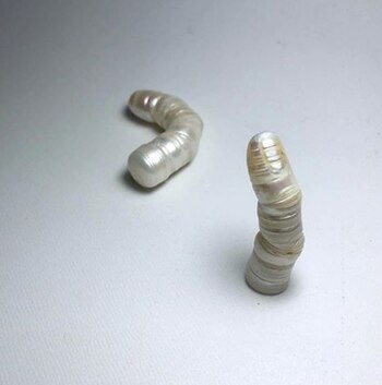 Una obra de Shinji Nakaba