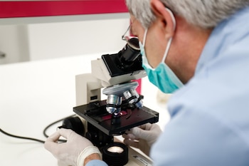 Imagen QYSSZORF35B33O42ALTQC2QJAE