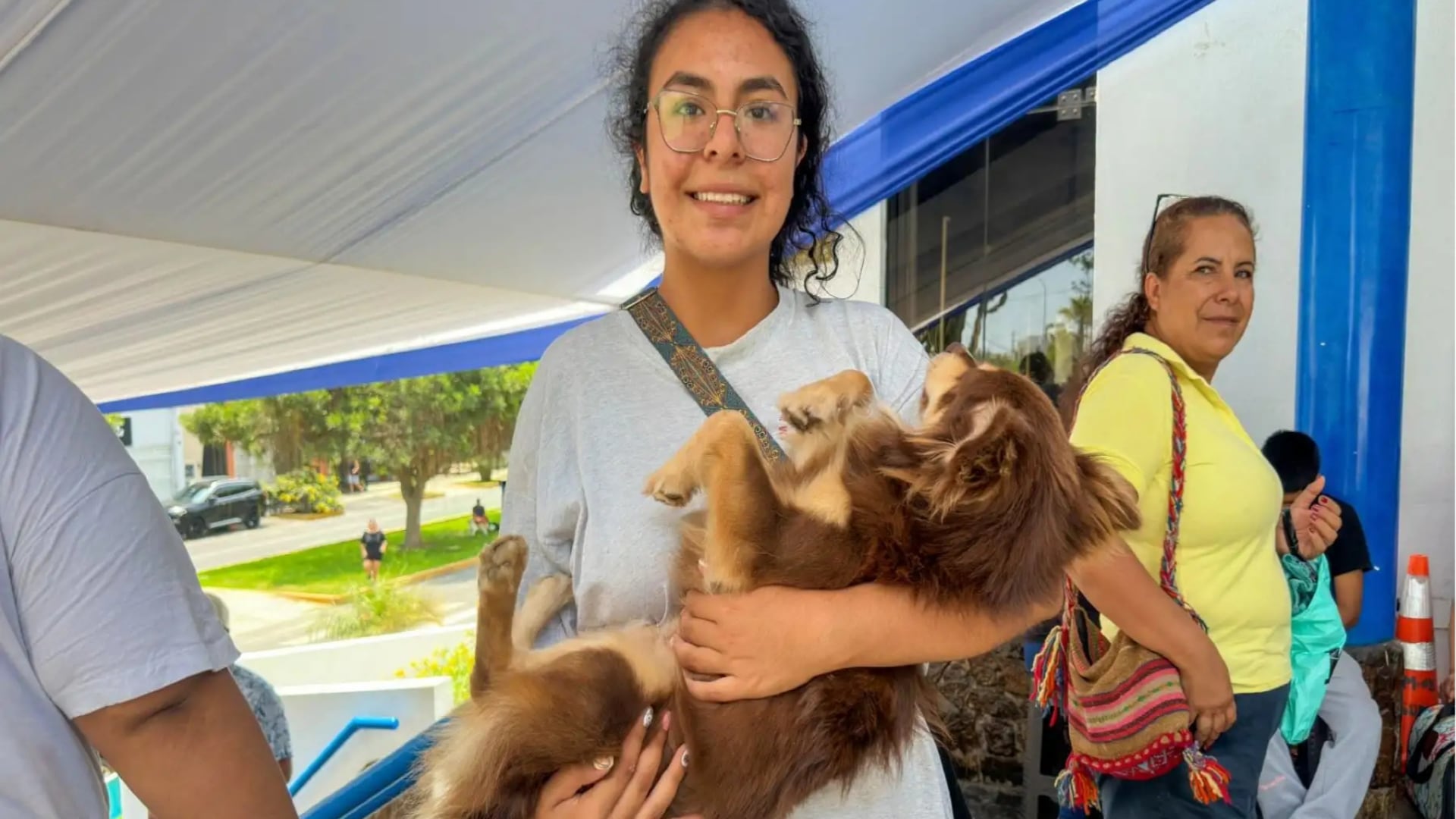Sur Pet anuncia nueva jornada de esterilización para mascotas en Loma Amarilla. (Foto: Agencia Andina)