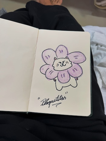 Cuaderno abierto con un dibujo de un gato blanco sonriente rodeado de pétalos morados, y la palabra "Plaquetitas" escrita debajo