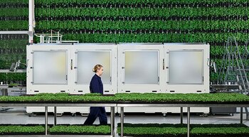 La compañía de agricultura vertical