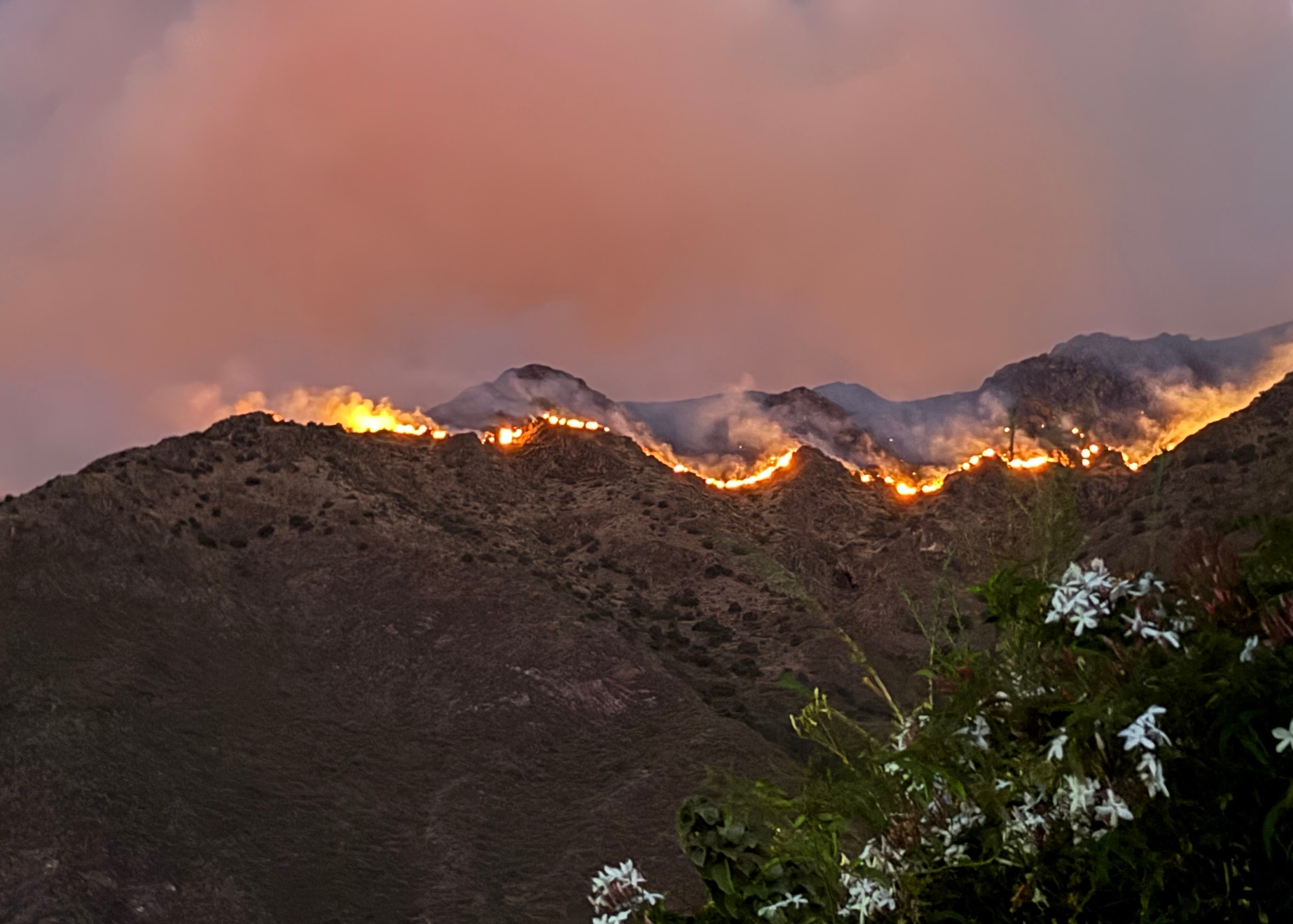 En lo que va del año, se ha consumido más de 7.500 hectáreas de cobertura natural producto de incendios. (Lucy Zevallos/Ojo Público)
