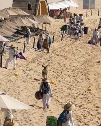 Nadie se interpuso en su