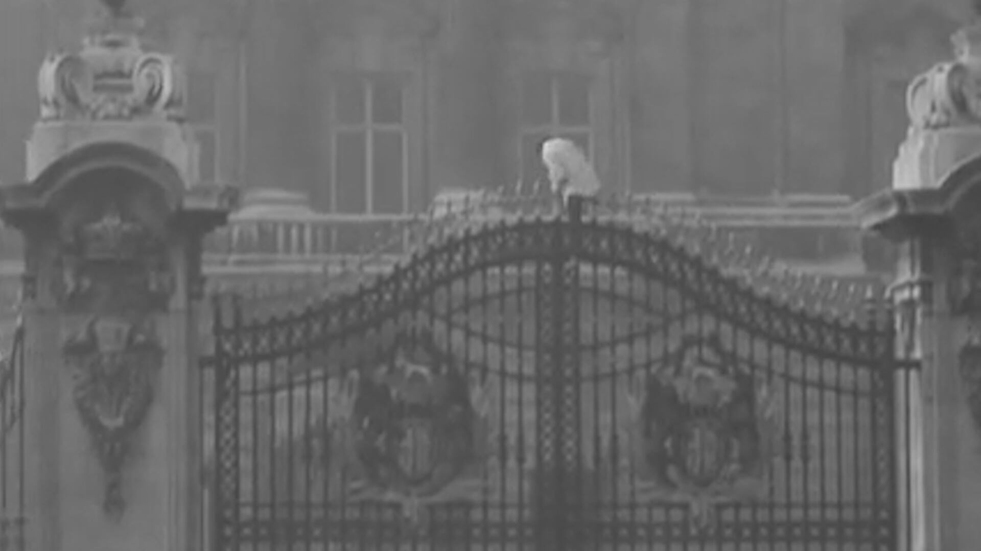 Un fanático subido a lo alto de las rejas de la puerta de ingreso al Palacio de Buckingham. La beatlemanía estaba desatada