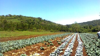 Aguirre sometió a sus tres