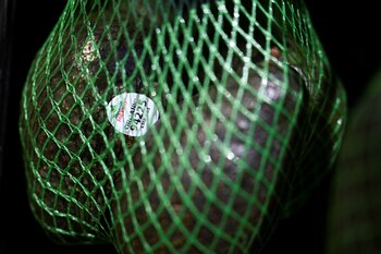 México ocupa un lugar central en el comercio de varios estados, especialmente aquellos cercanos a la frontera sur. (REUTERS/Annabelle Gordon)