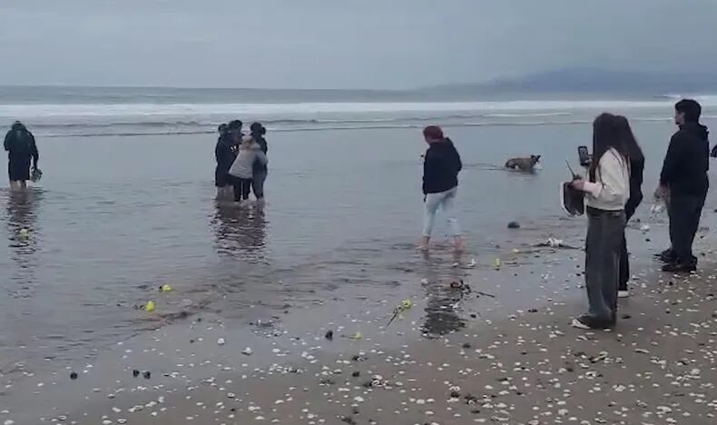 Amigos y familiares reunidos en la costa de La Serena para despedir a Alejandro Cabrera Iturriaga