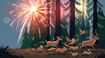 Dibujo de fuegos artificiales de colores que estallan sobre un bosque oscuro, con ciervos, zorros, búhos, conejos y pájaros en movimiento.
