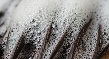 Mechones de cabello oscuro mojado cubiertos de espuma de burbujas blancas y grises, con gotas de agua visibles y reflejos de luz.