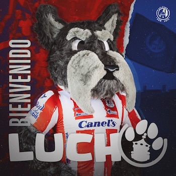 Lucho, la mascota de San
