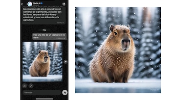 Los usuarios pueden generar fotos