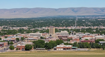 La baja utilización de días