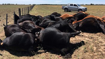 (Gentileza Diario Textual de La