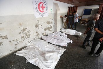 Imagen QZQFMDDDONDOPFK7KQ7TB2X74U