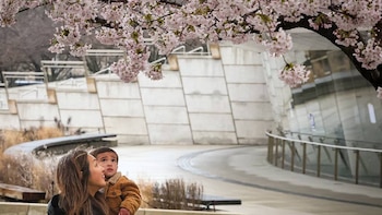 Una mujer sostiene a un niño mientras ambos miran hacia arriba, bajo un árbol con flores de cerezo rosas. Al fondo, un edificio moderno con paneles y una pasarela curva
