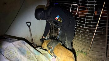 El allanamiento en la cárcel