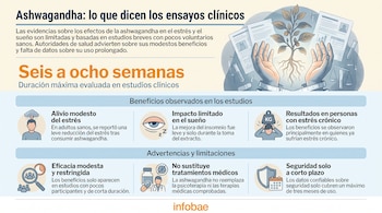 Infografía con manos sosteniendo una planta, documentos científicos, tubos de ensayo, balanza, pastillas, cinta métrica y recuadros sobre ashwagandha.