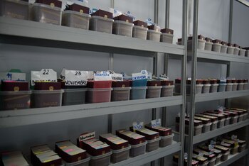 La Cancillería hace un llamado