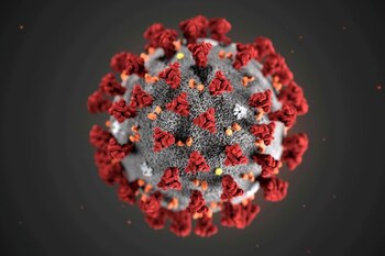El coronavirus puede dañar la