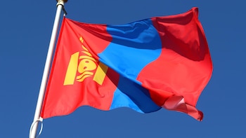 Mongolia ordena "medidas de supervisión sanitaria" en la frontera con Rusia por posible brote de peste