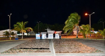 La Armada destruyó 166 laboratorios clandestinos de producción de cocaína y pasta base, afectando la infraestructura criminal en varias regiones - crédito ARC