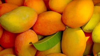 ¡Dulce tradición! Un recorrido visual donde los salvadoreños disfrutan del festival Expo Mango 2026