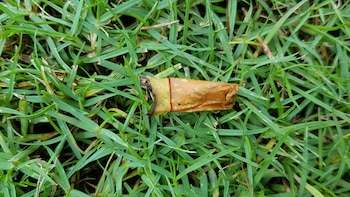 De los 2.240.000 adultos que