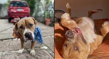 Antes y después de ser