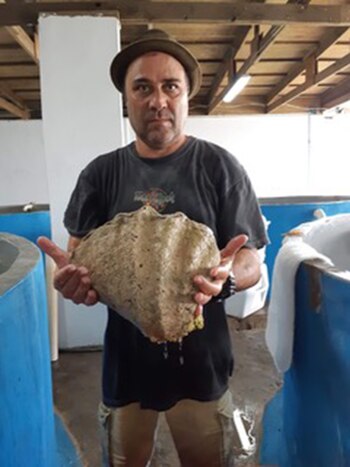 Captura de una almeja gigante