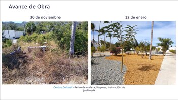 Pintura y trabajos de jardinería