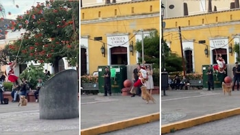 La escena sorprendió a los