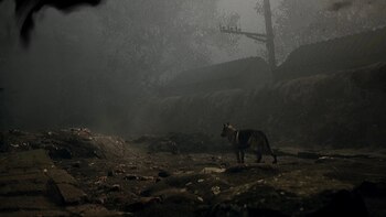 Captura del tráiler oficial de