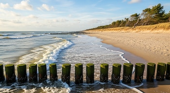 Una playa de arena con el mar Báltico y espigones de madera en primer plano. Al fondo, más espigones, la orilla del mar y un bosque.