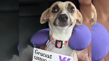 Esta es la historia de