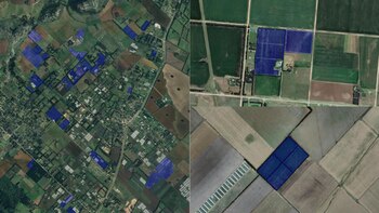 Revelan información clave para potenciar