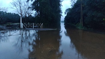 Imagen de un camino rural completamente cubierto por agua turbia, flanqueado por árboles altos y un cielo gris nublado, con reflejos en el agua
