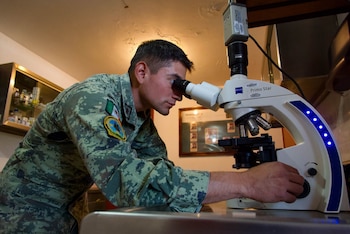 Los egresados cuentan con un