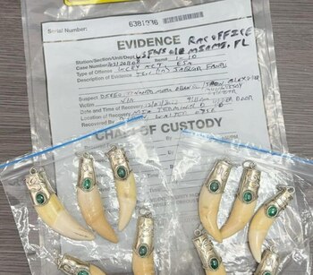 Esta red utilizaba avanzadas técnicas