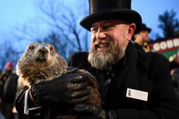 Phil no vio su sombra antes de regresar a su tocón, por lo que la primavera está cerca. (REUTERS/Alan Freed)