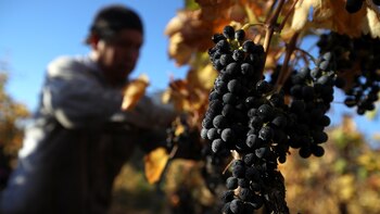 La cuarta producción en crisis